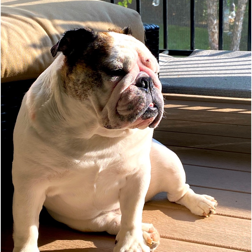 Meet your Posher, Justin